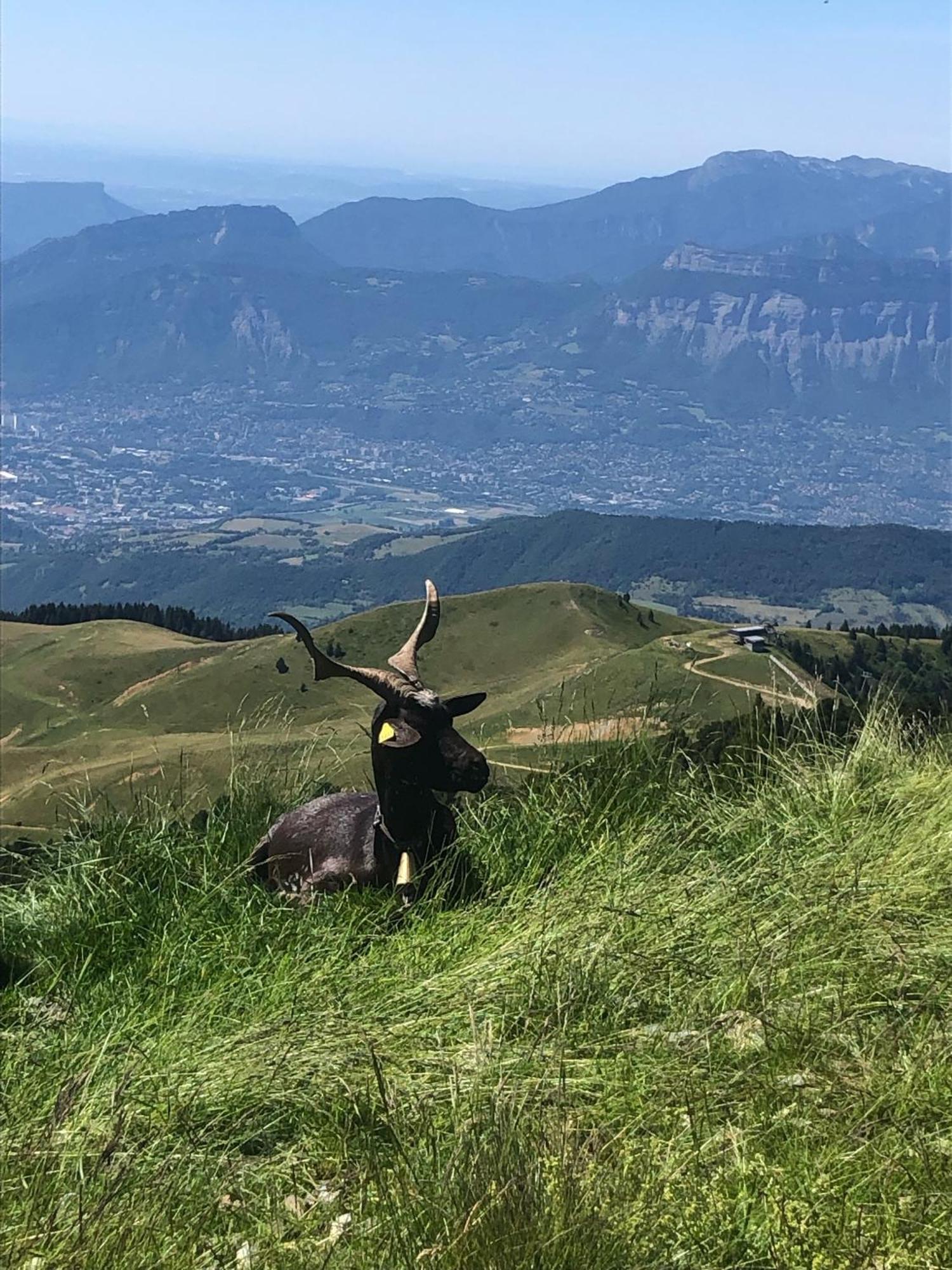 Residence Les Martinets, Grand Studio Vue Degagee, 4 Couchages, Cellier, Meuble De Tourisme 3 Etoiles, Parking Gratuit Chamrousse Zewnętrze zdjęcie